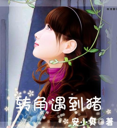 猫儿乡排儿村：第一批30头肉牛出栏